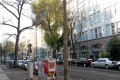 Fotogalerie: Begehung der Pappelallee Oktober 2012