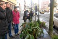 Fotogalerie: Begehung der Pappelallee Oktober 2012